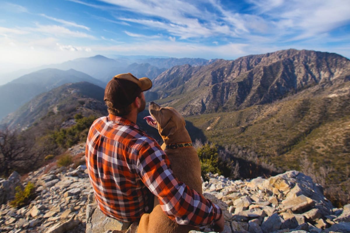 Man sitting with dog looking at view of mountains