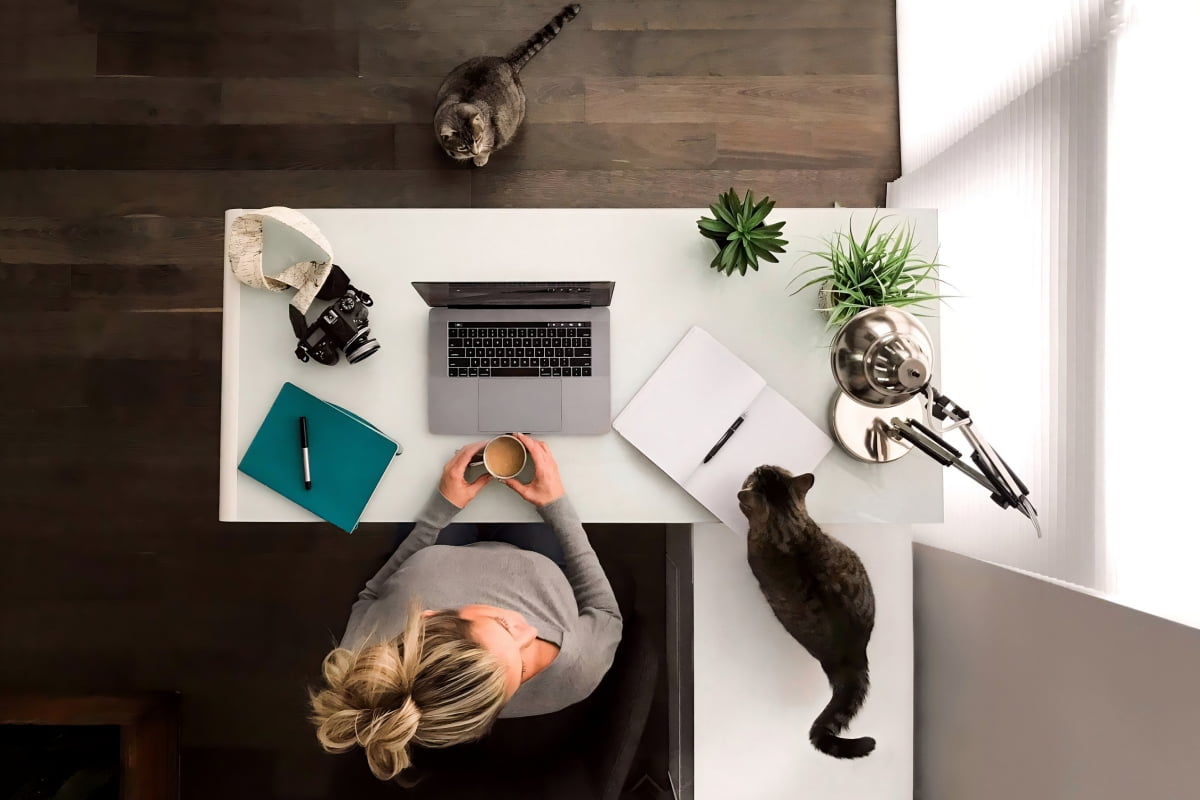 woman working from home during pandemic with cats at her desk