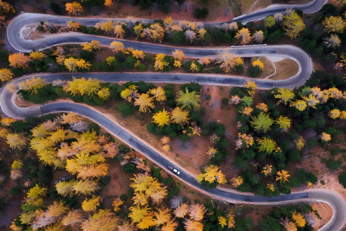 Windy road with trees