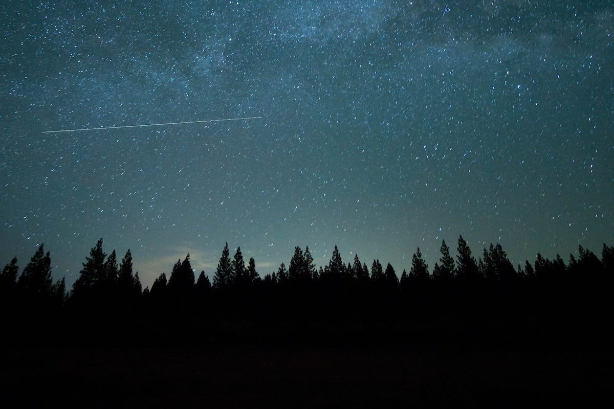 Starry night in the forest as shooting star passes